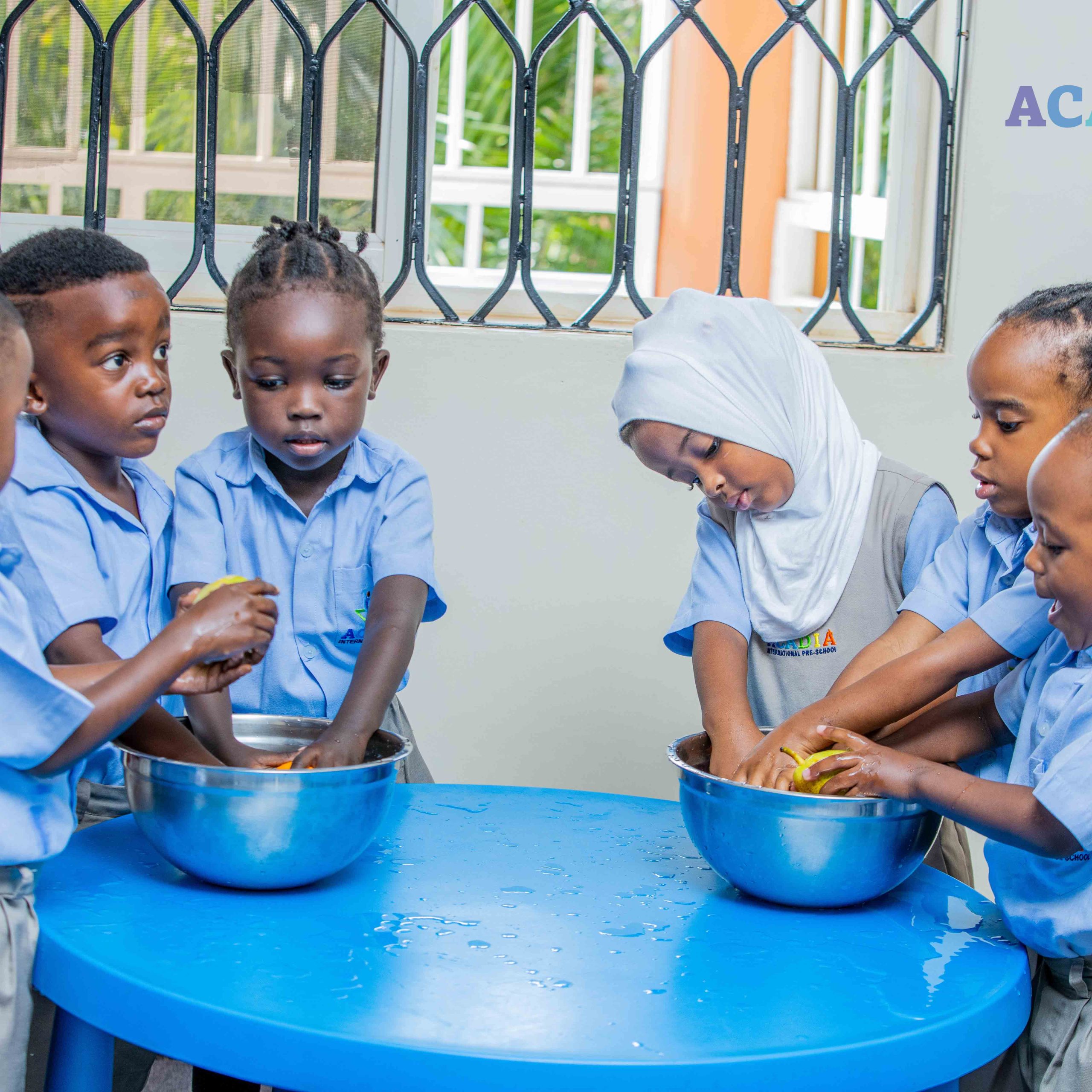 Acadia International School 5